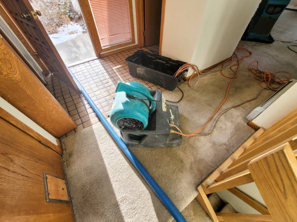Best Water damage restoration specialists  in Mount Penn, PA