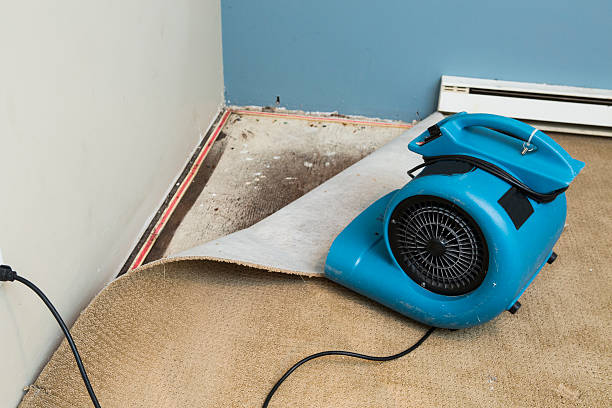 Best Basement water damage restoration  in Mount Penn, PA